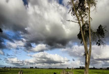 开云APP-撒丁岛雄鹰亮铁翼！卡利亚里客场掀翻巨人，稳定如磐石直指王座