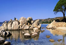 开云体育平台APP-玫瑰风暴！中国女足亚锦赛逆袭传奇