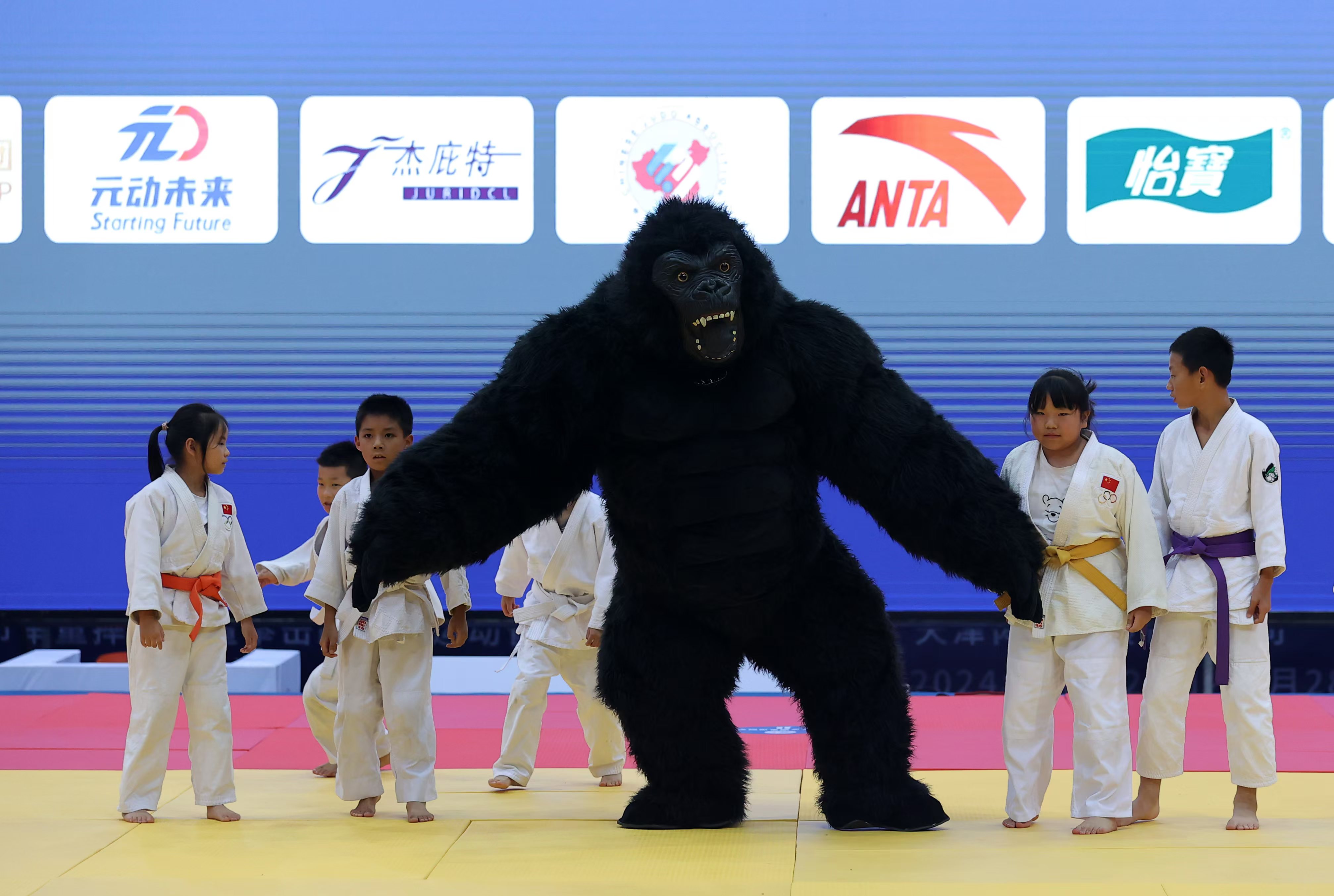 擂台上的对决:柔道选手向冠军冲刺的简单介绍 擂台上的对决:柔道选手向冠军冲刺的简单介绍