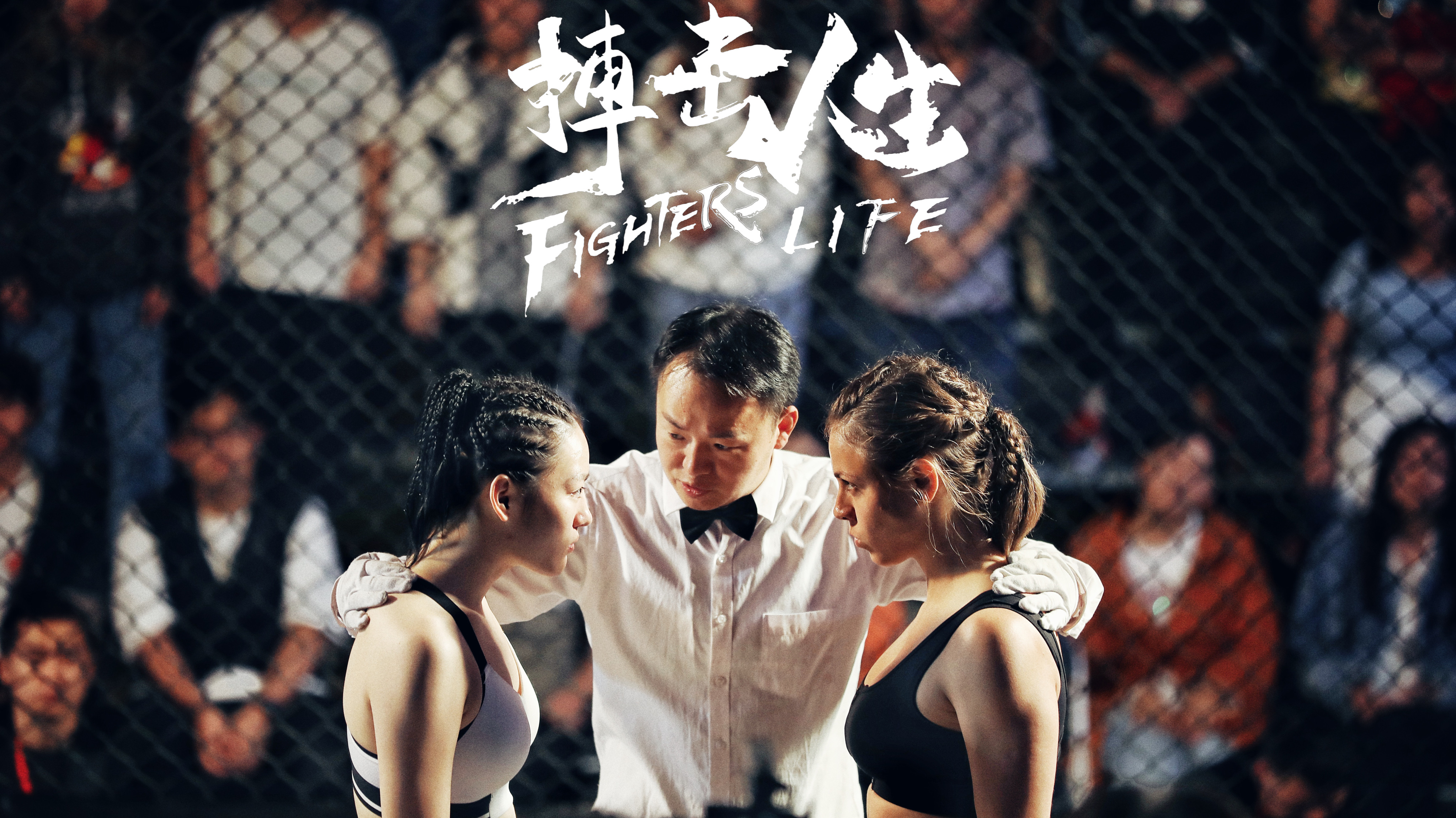 精彩纷呈!球赛中的激情搏击 精彩纷呈!球赛中的激情搏击