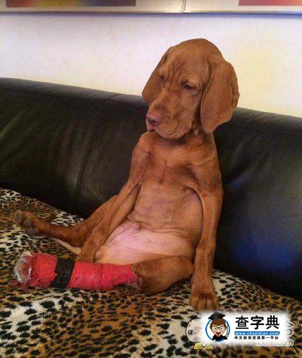 查当年受伤或不受伤手沿着灼伤被红牌 查当年受伤或不受伤手沿着灼伤被红牌