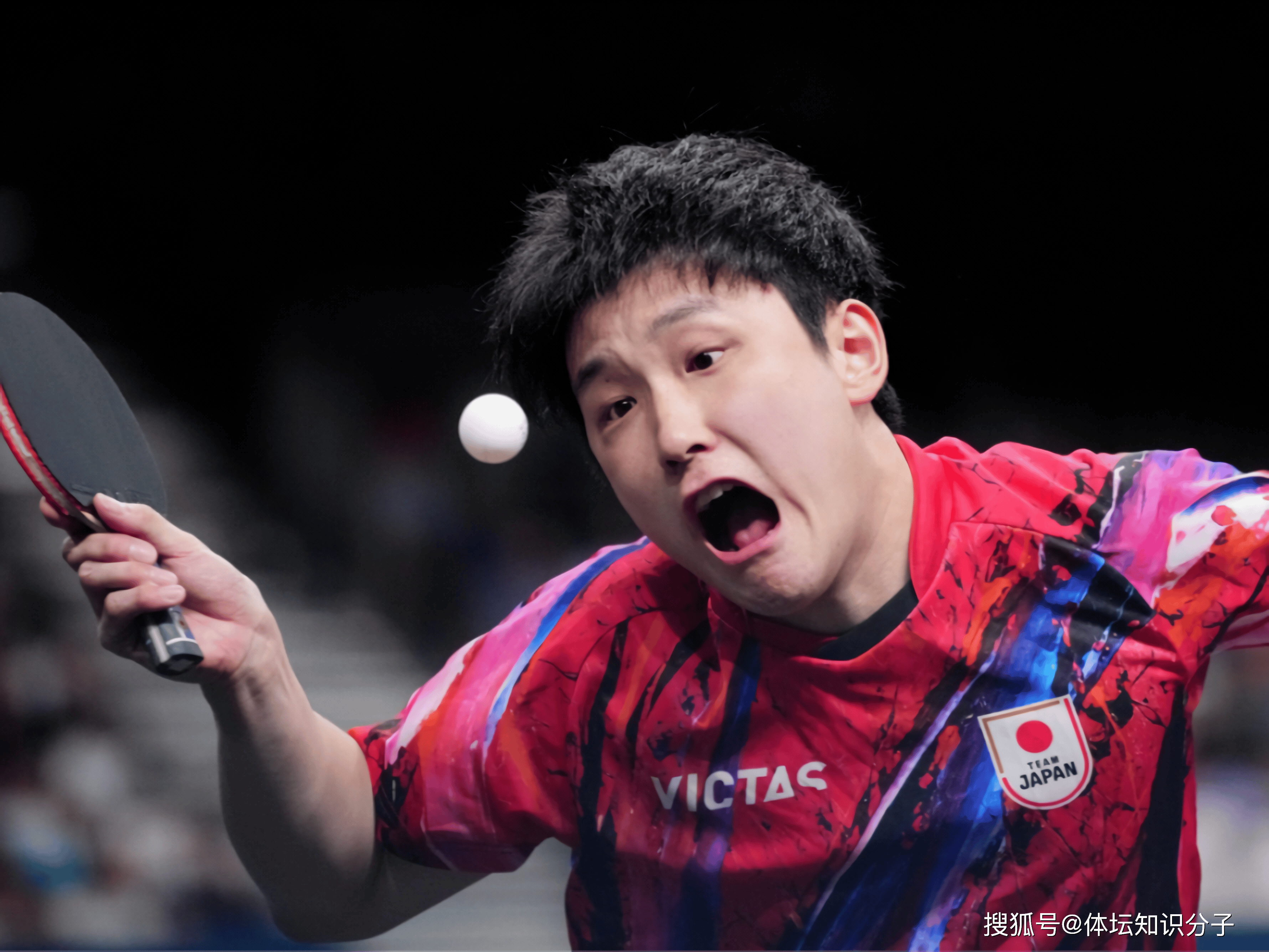 日本队绝杀波兰队,张本智和带队取胜 日本队绝杀波兰队,张本智和带队取胜