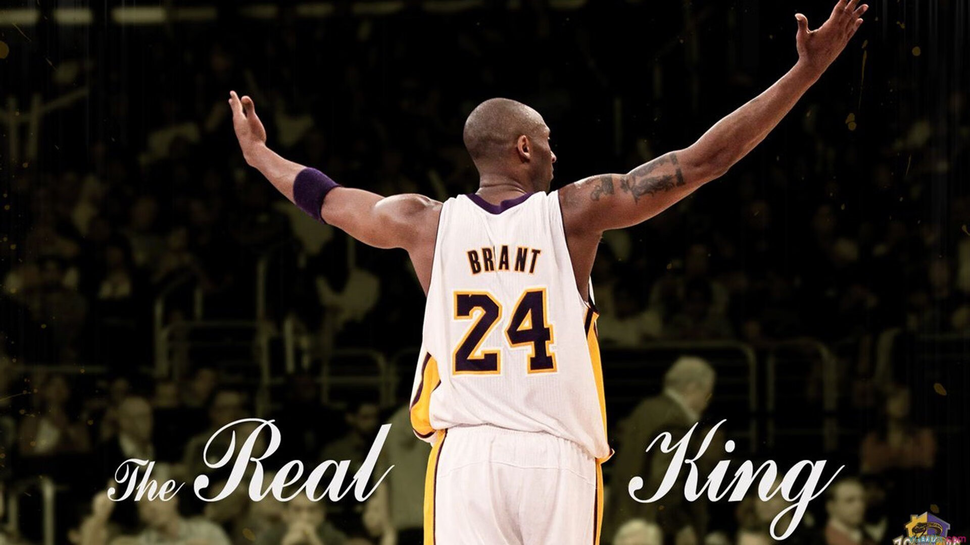 开云体育在线-从挪威逆袭安哥拉到萨内接管季后赛，体育中不可复制的唯一时刻